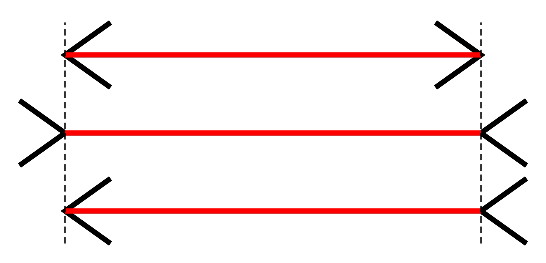 Müller-Lyer Illusion