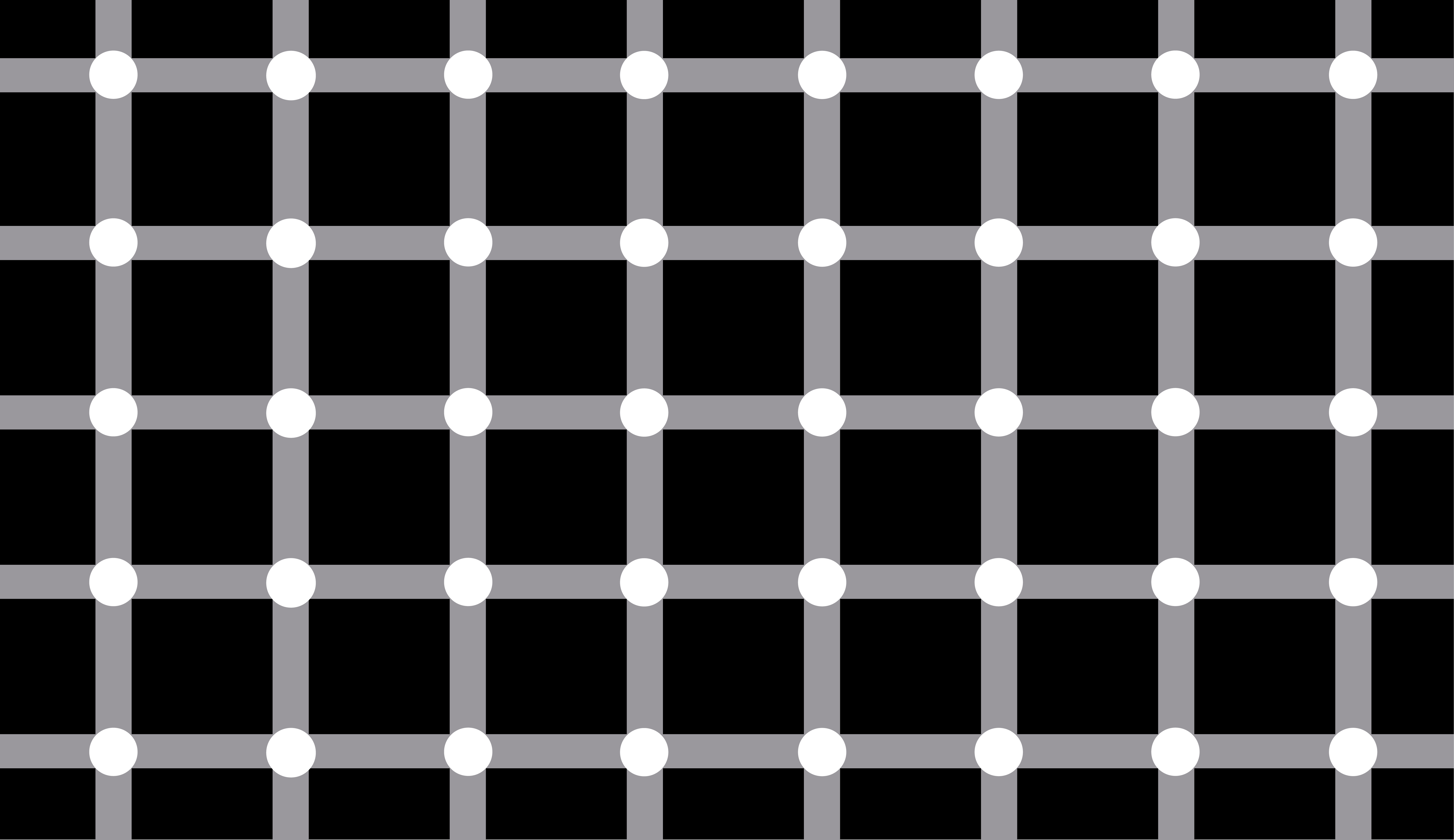 Scintillating Grid Illusion
