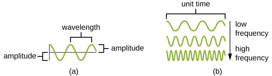 Frequency Wave